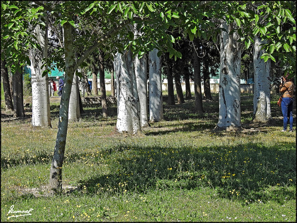 Foto: 160529-28 MOVERA-ST ENGRACIA - Movera (Zaragoza), España