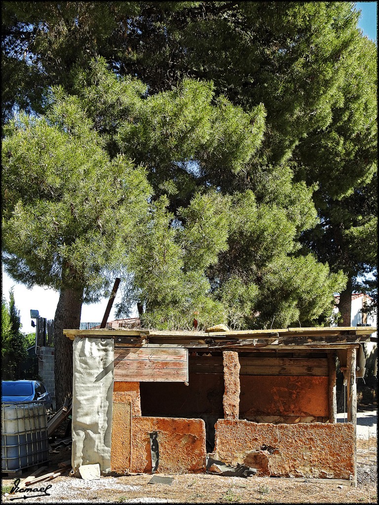 Foto: 160529-18 MOVERA-ST ENGRACIA - Movera (Zaragoza), España