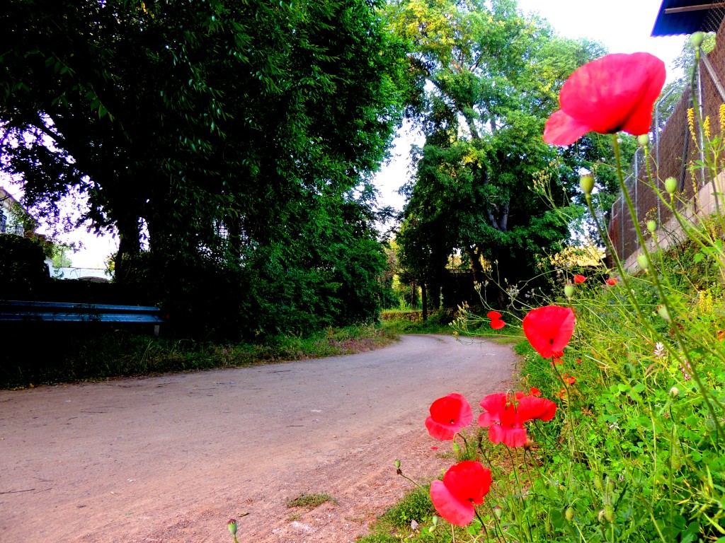 Foto de Santa María de Trassierra (Córdoba), España
