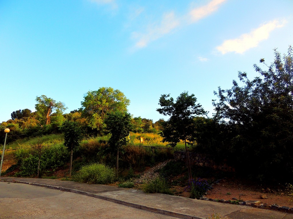 Foto de Santa María de Trassierra (Córdoba), España