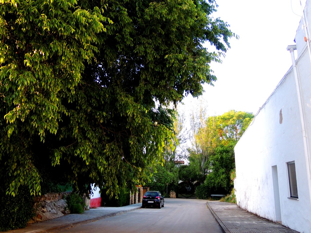 Foto de Santa María de Trassierra (Córdoba), España