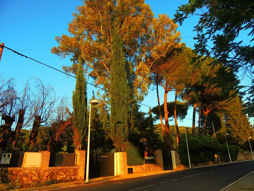 Foto de Santa María de Trassierra (Córdoba), España
