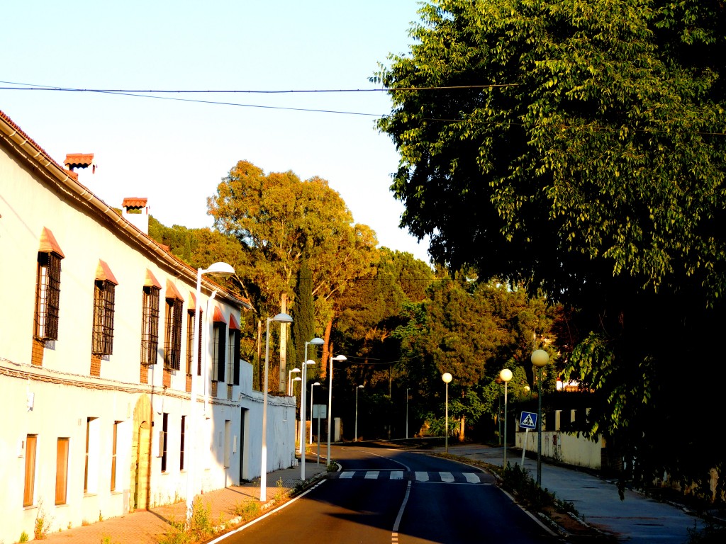 Foto de Santa María de Trassierra (Córdoba), España