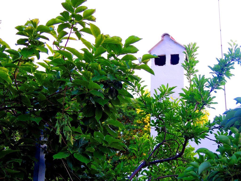 Foto de Santa María de Trassierra (Córdoba), España