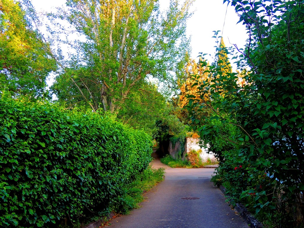 Foto de Santa María de Trassierra (Córdoba), España