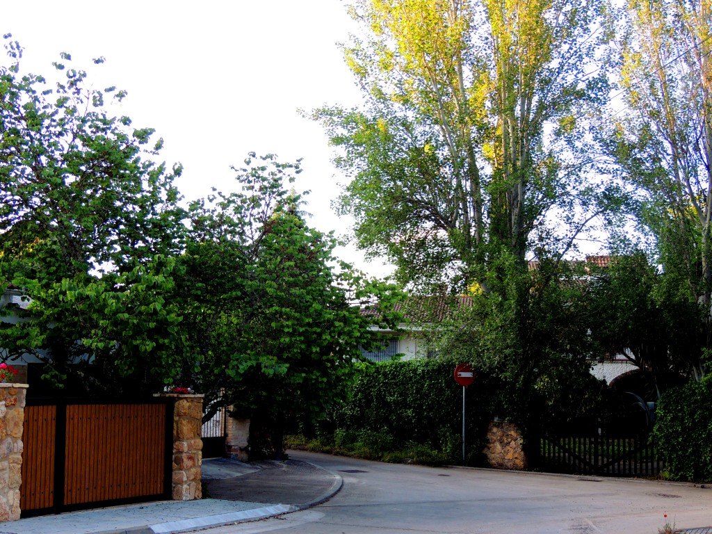 Foto de Santa María de Trassierra (Córdoba), España