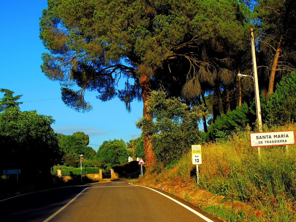 Foto de Santa María de Trassierra (Córdoba), España