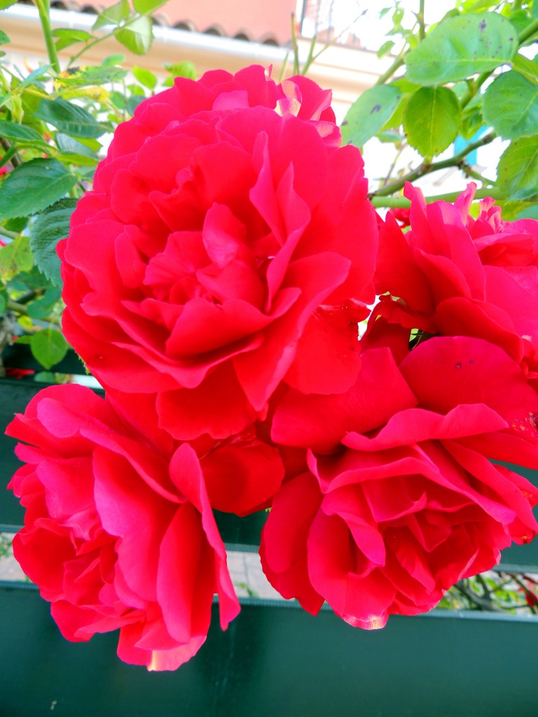 Foto de Santa María de Trassierra (Córdoba), España