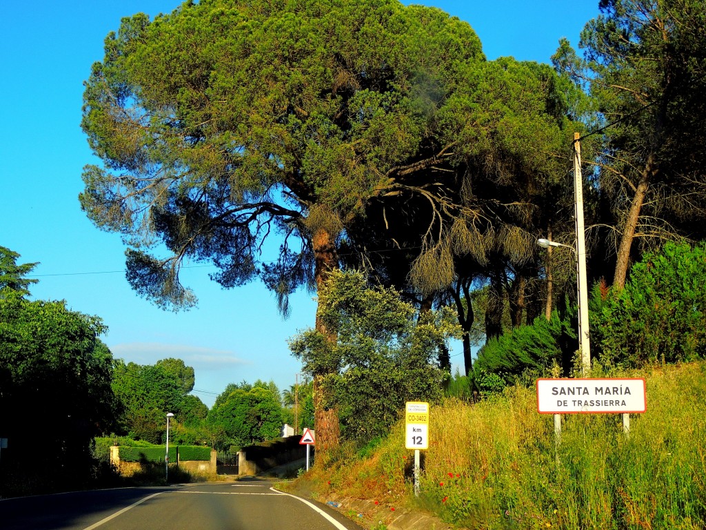 Foto de Santa María de Trassierra (Córdoba), España