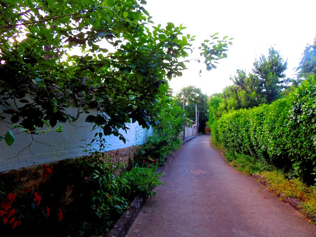 Foto de Santa María de Trassierra (Córdoba), España