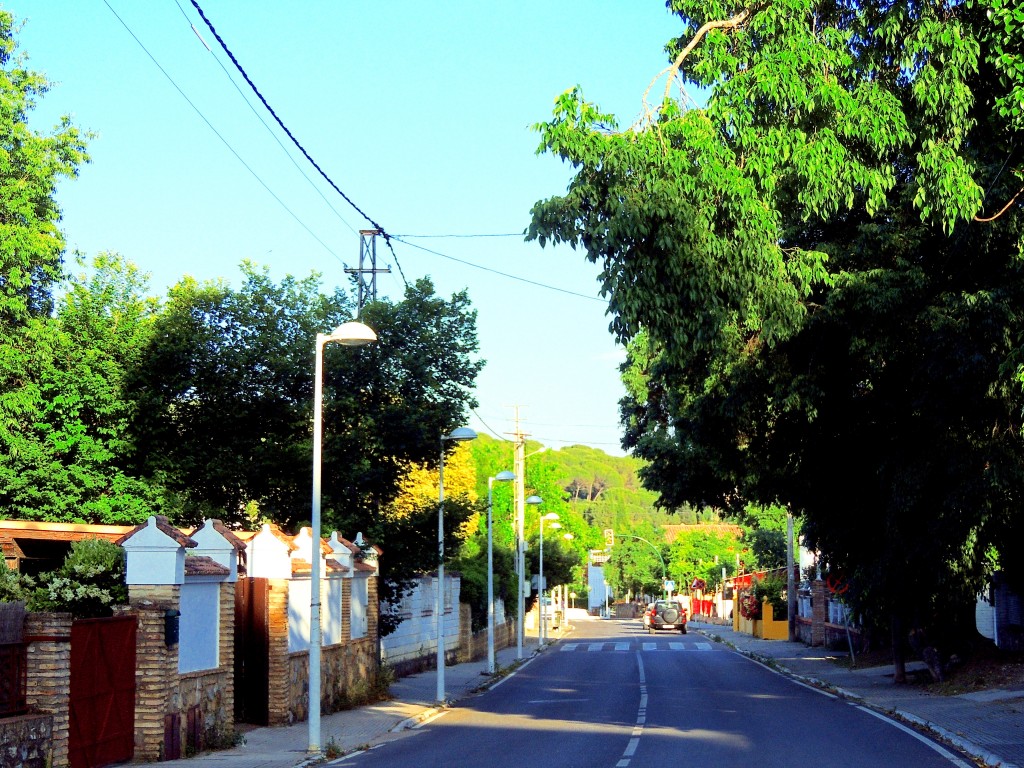 Foto de Santa María de Trassierra (Córdoba), España