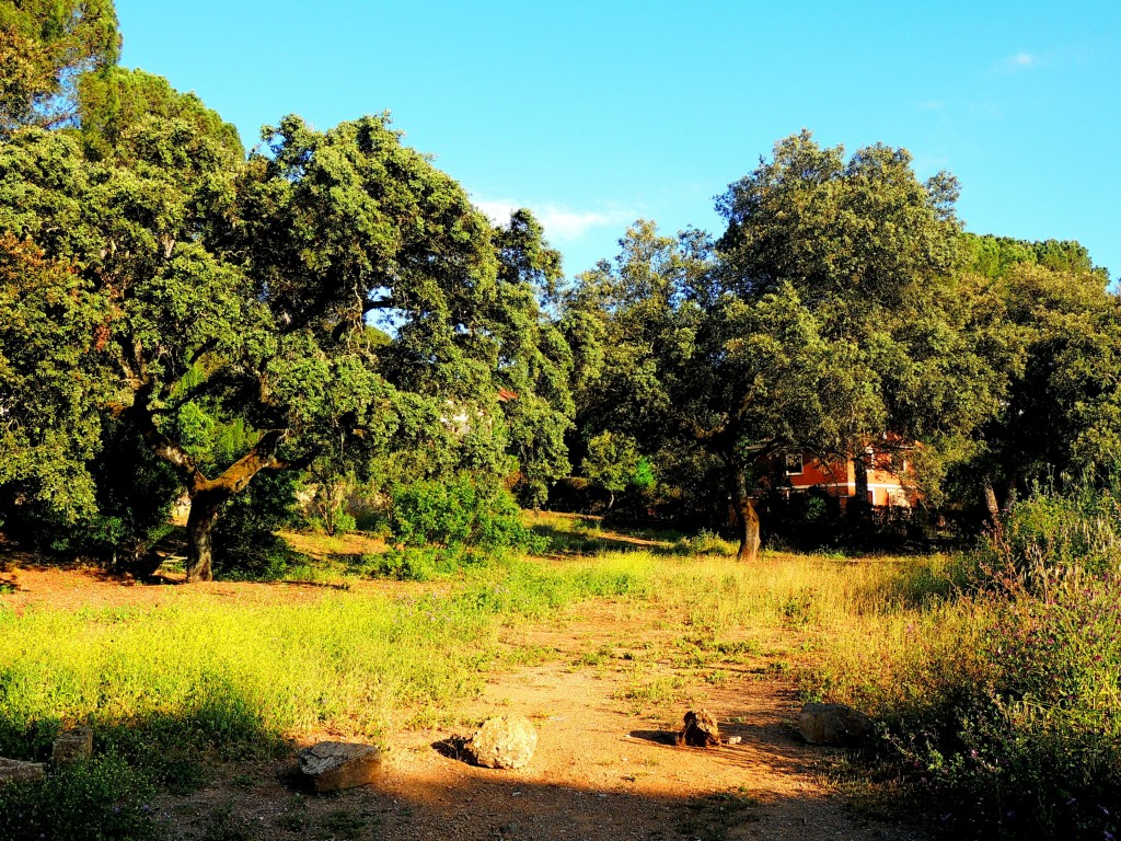 Foto de Santa María de Trassierra (Córdoba), España
