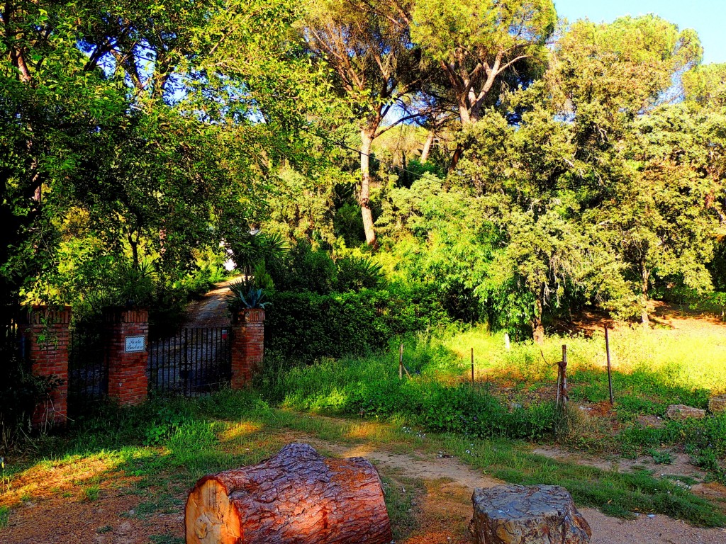 Foto de Santa María de Trassierra (Córdoba), España