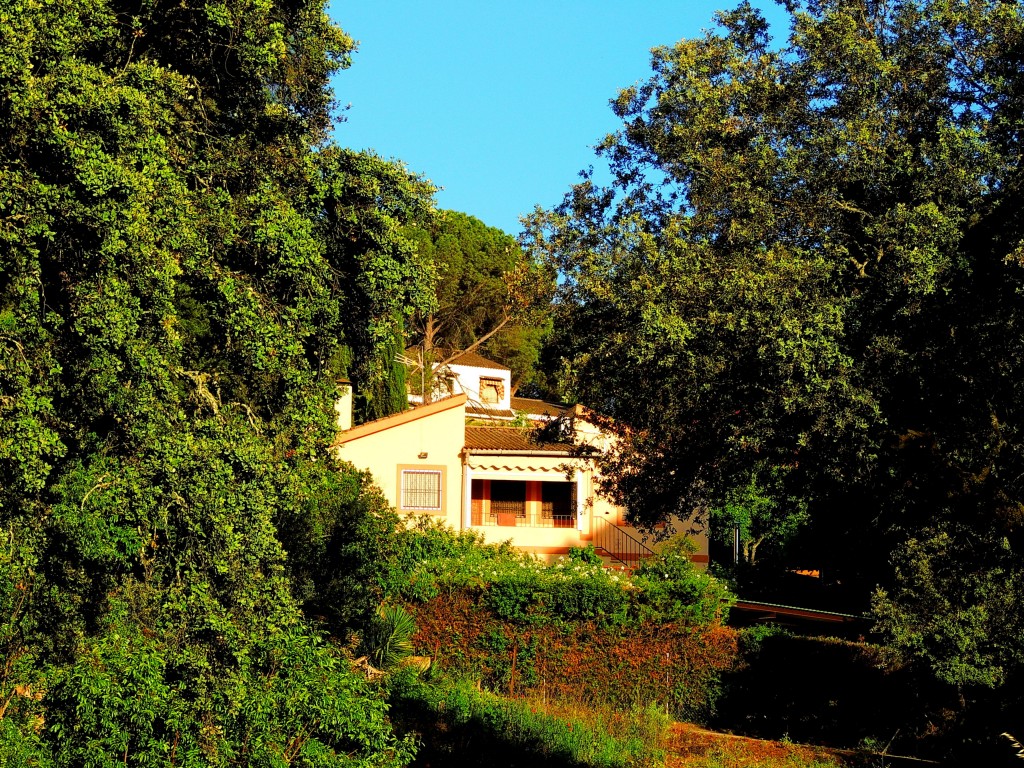 Foto de Santa María de Trassierra (Córdoba), España