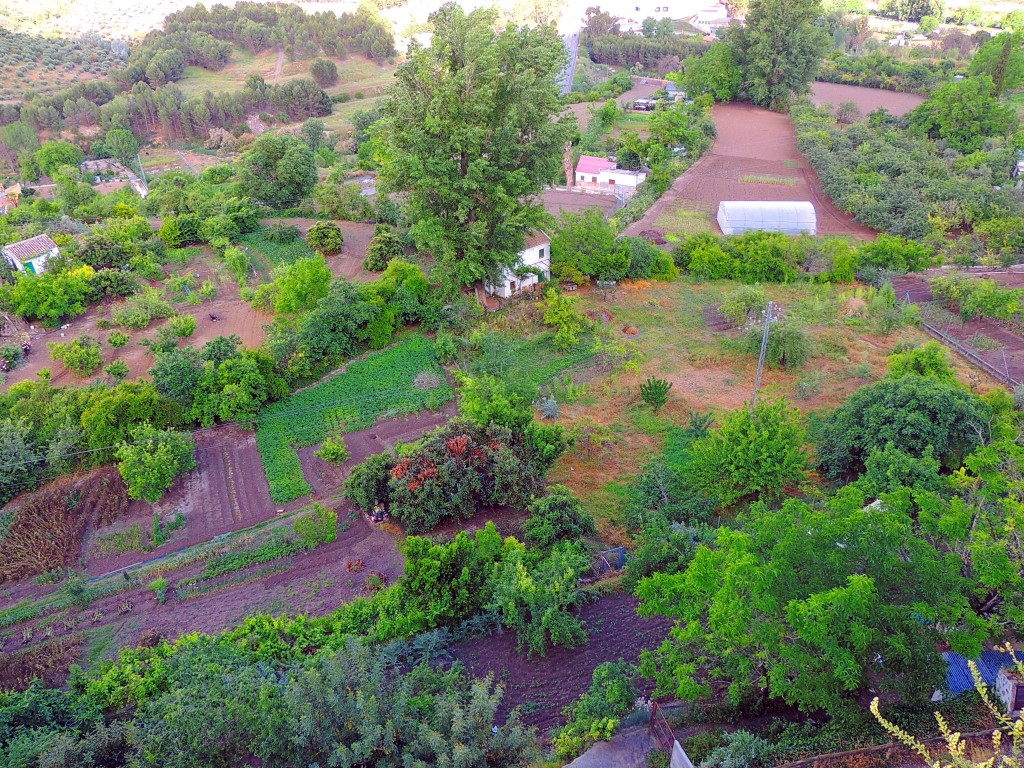 Foto de Priego de Córdoba (Córdoba), España