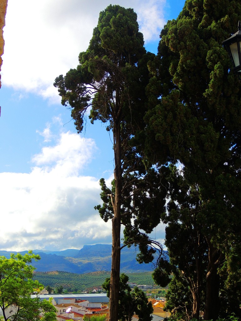 Foto de Priego de Córdoba (Córdoba), España