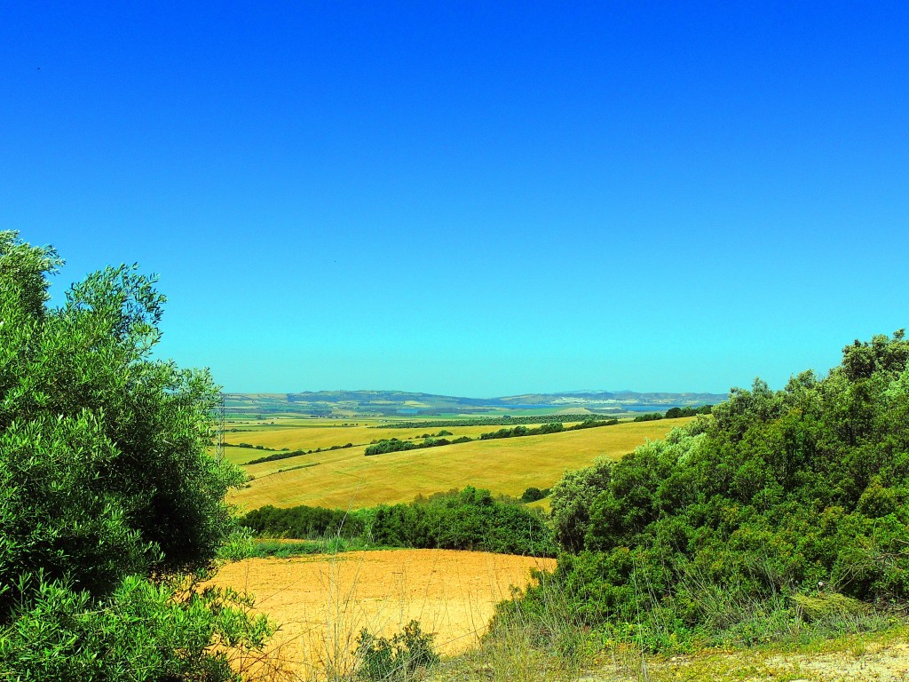 Foto de Prado del Rey (Cádiz), España