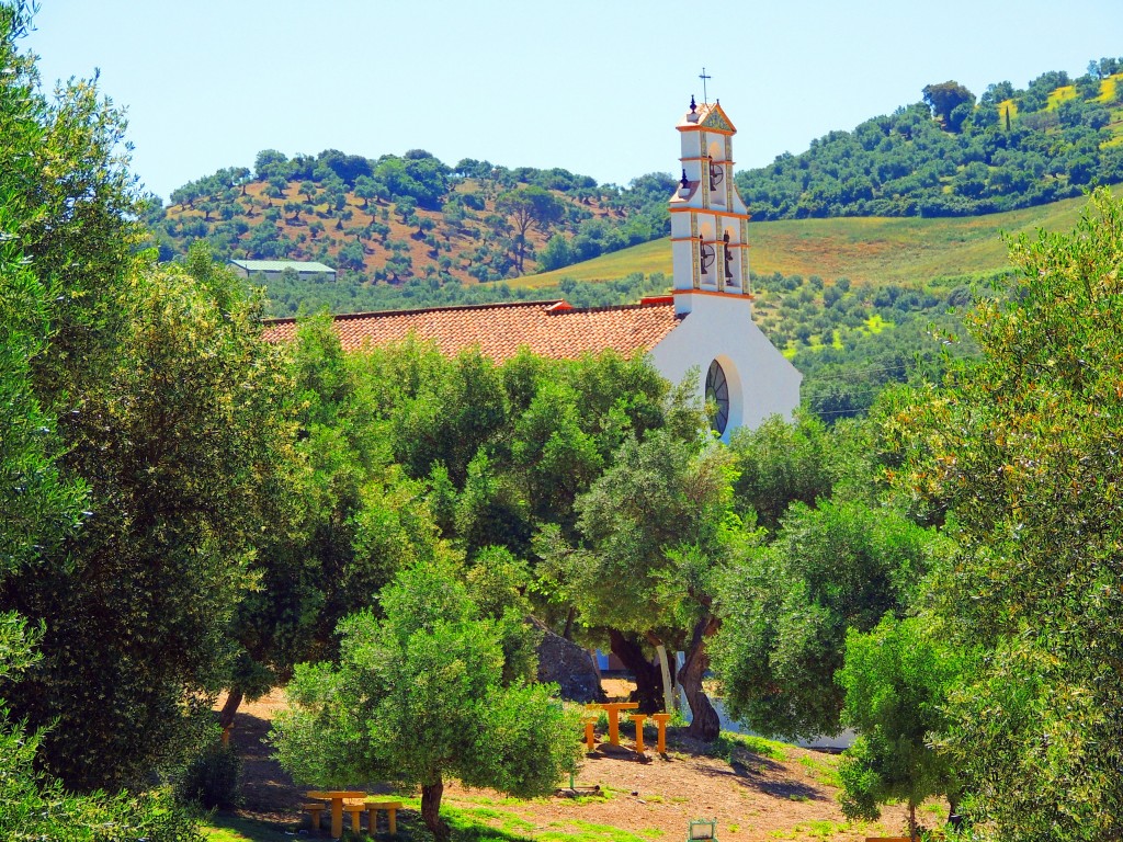 Foto de Prado del Rey (Cádiz), España