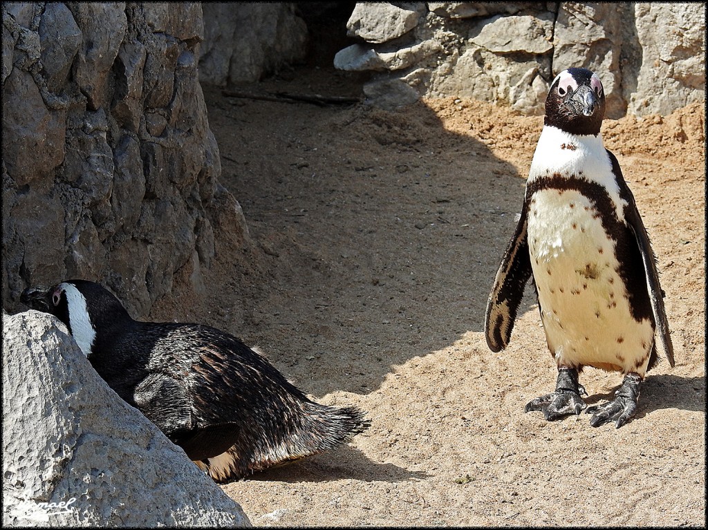 Foto: 160516-074 SANTANDER - Santander (Cantabria), España