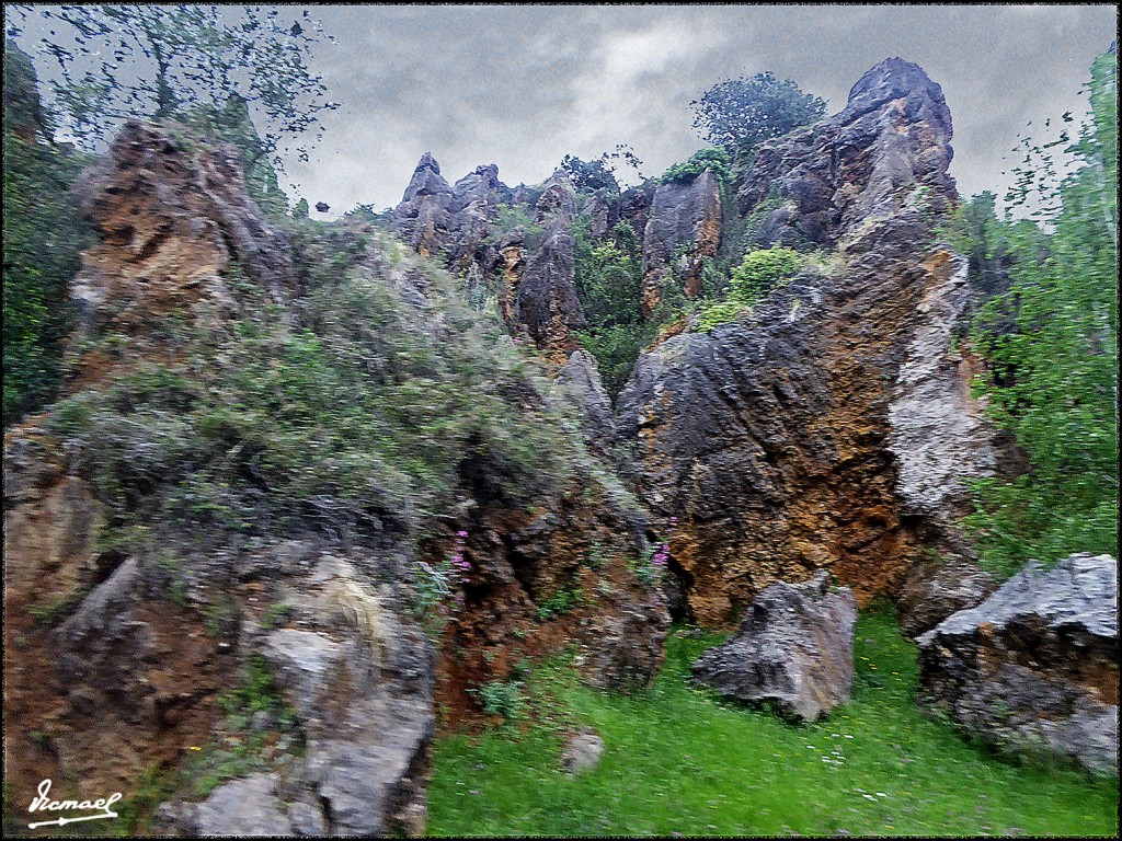 Foto: 160521-053 CABARCENO - Cabarceno (Cantabria), España
