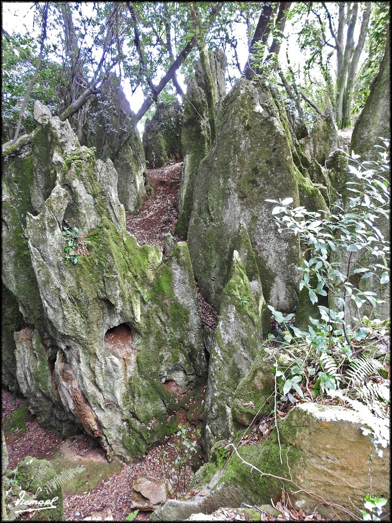 Foto: 160521-025 SOLARES - Solares (Cantabria), España