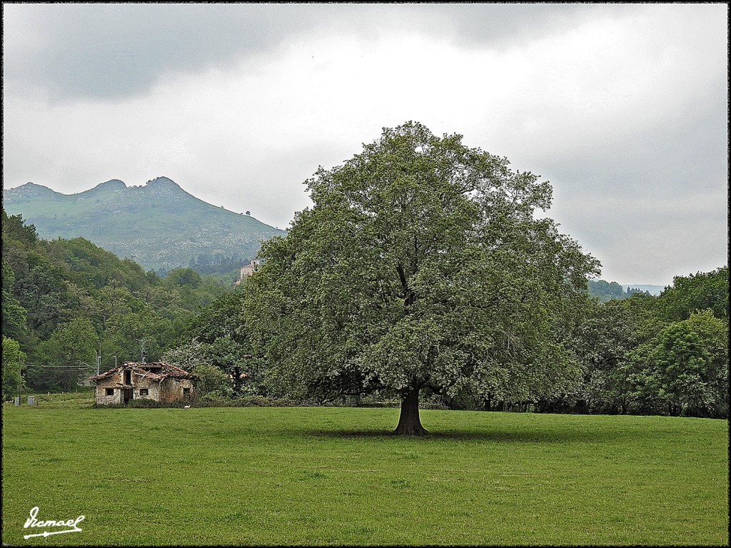 Foto: 160516-043 LA CAVADA - La Cavada (Cantabria), España