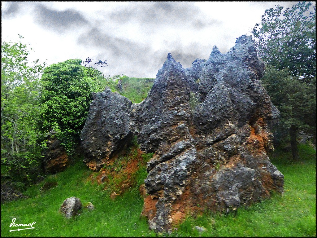 Foto: 160521-051 CABARCENO - Cabarceno (Cantabria), España