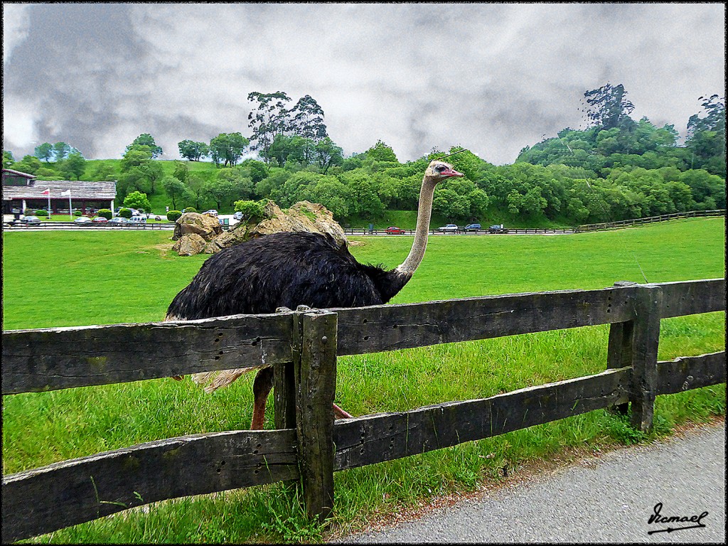 Foto: 160521-059 CABARCENO - Cabarceno (Cantabria), España