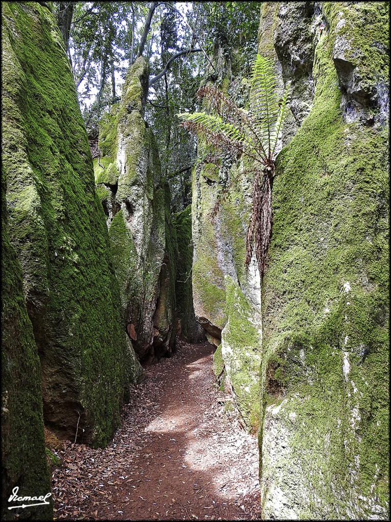 Foto: 160521-023 SOLARES - Solares (Cantabria), España