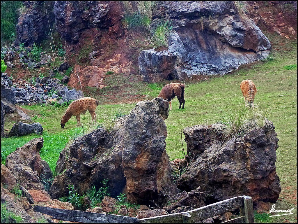Foto: 160521-108 CABARCENO - Cabarceno (Cantabria), España