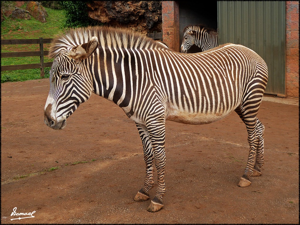 Foto: 160521-116 CABARCENO - Cabarceno (Cantabria), España