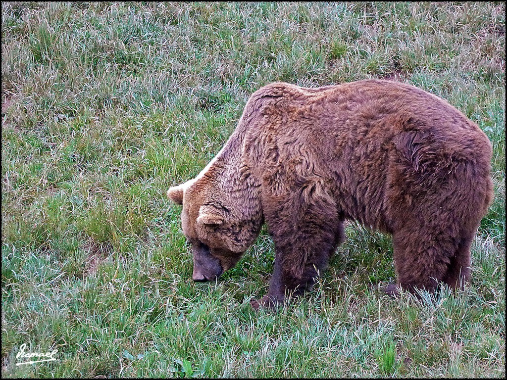 Foto: 160521-064 CABARCENO - Cabarceno (Cantabria), España
