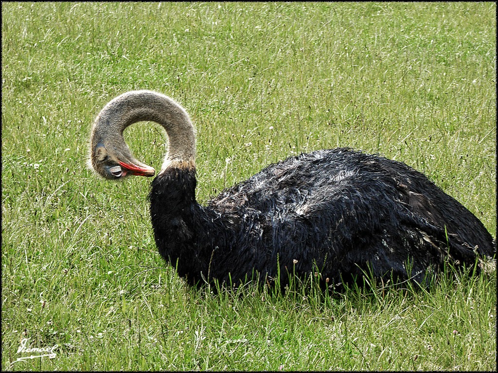 Foto: 160521-162 CABARCENO - Cabarceno (Cantabria), España