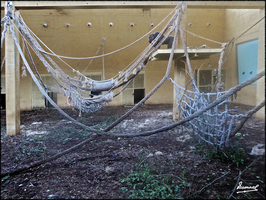 Foto: 160521-212 CABARCENO - Cabarceno (Cantabria), España