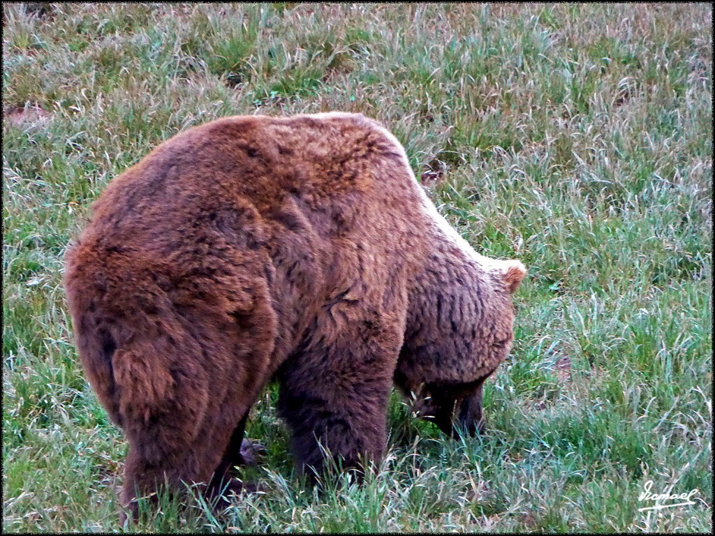 Foto: 160521-062 CABARCENO - Cabarceno (Cantabria), España