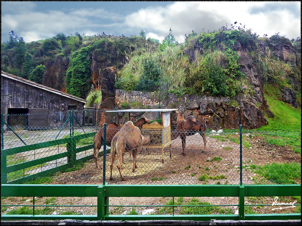 Foto: 160521-190 CABARCENO - Cabarceno (Cantabria), España