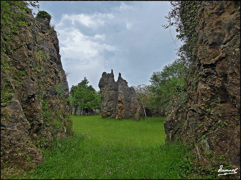 Foto: 160521-083 CABARCENO - Cabarceno (Cantabria), España
