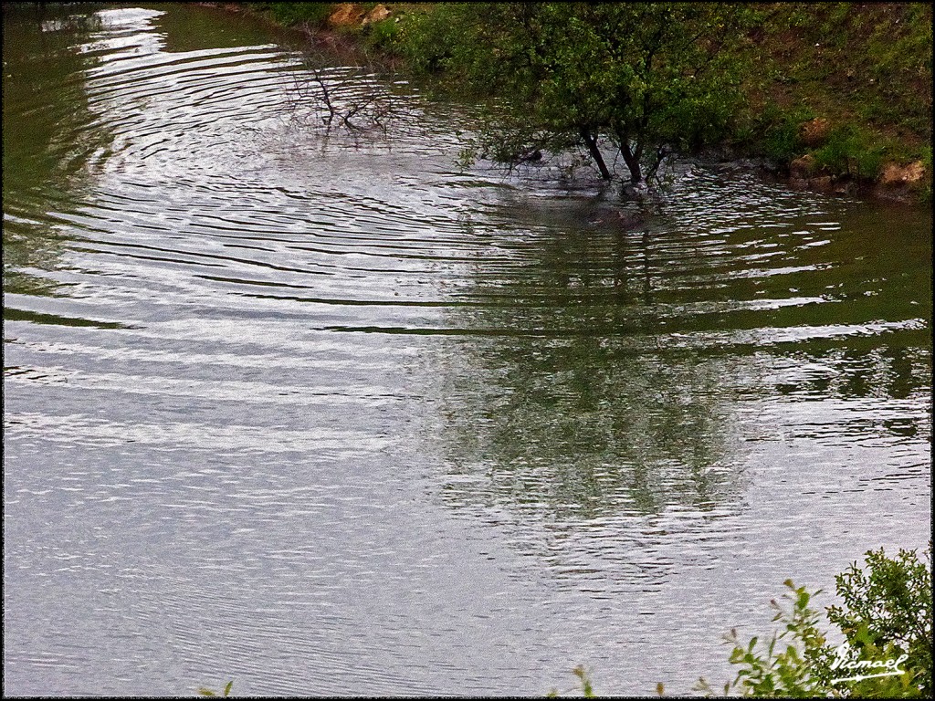 Foto: 160521-189 CABARCENO - Cabarceno (Cantabria), España