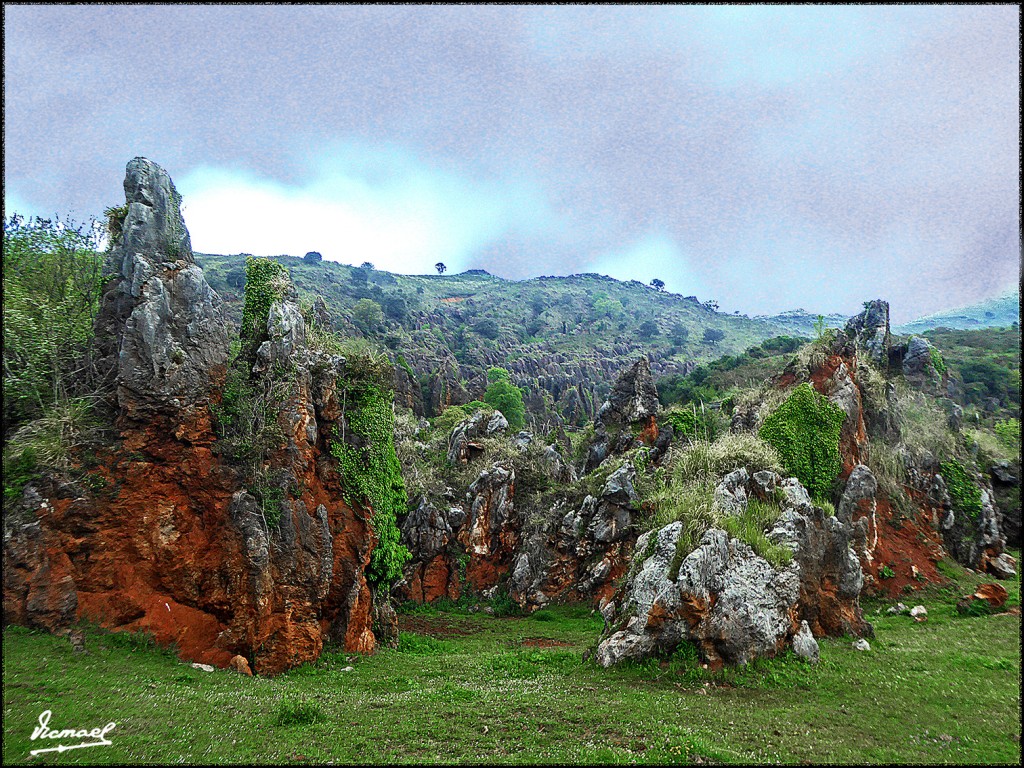 Foto: 160521-104 CABARCENO - Cabarceno (Cantabria), España