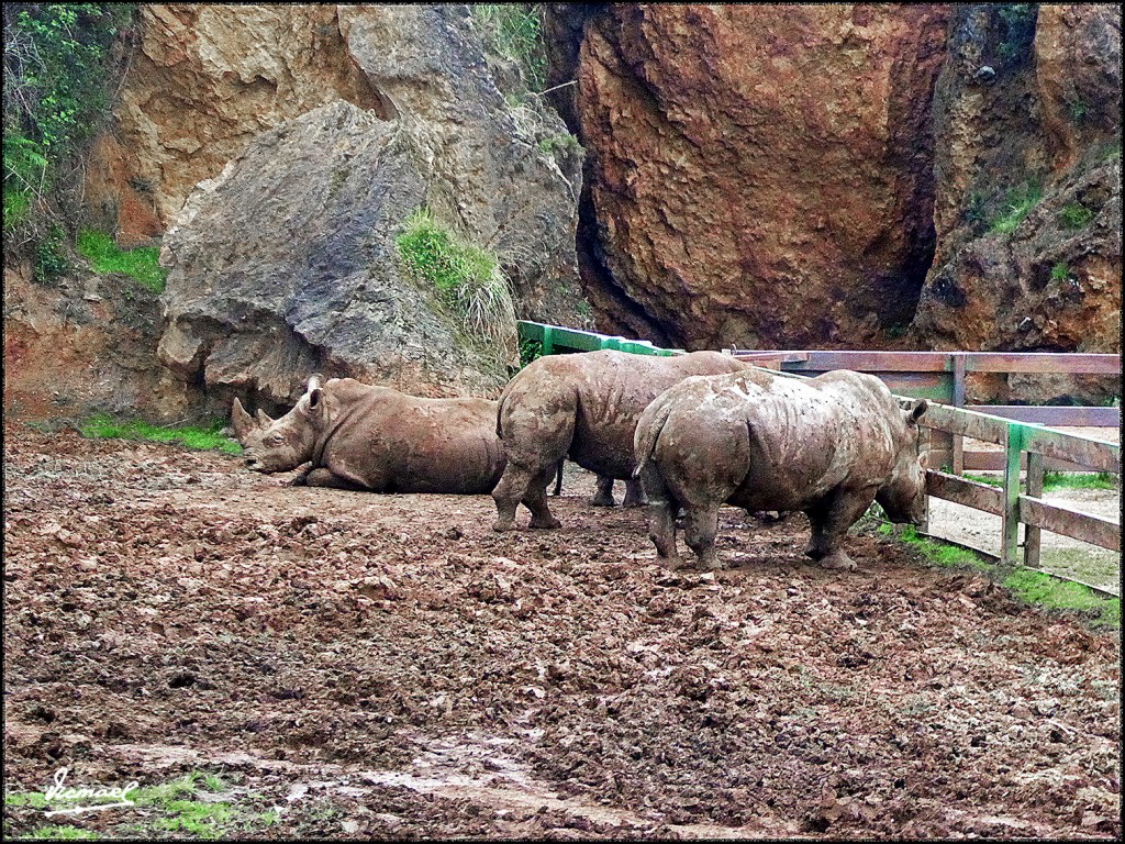 Foto: 160521-196 CABARCENO - Cabarceno (Cantabria), España