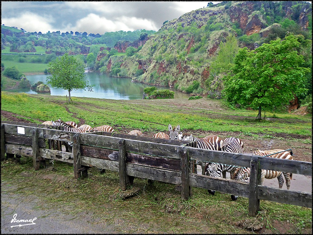 Foto: 160521-183 CABARCENO - Cabarceno (Cantabria), España