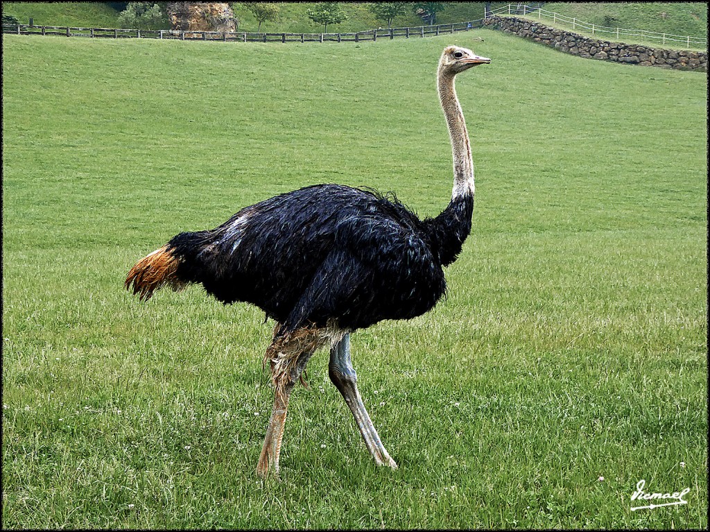 Foto: 160521-176 CABARCENO - Cabarceno (Cantabria), España