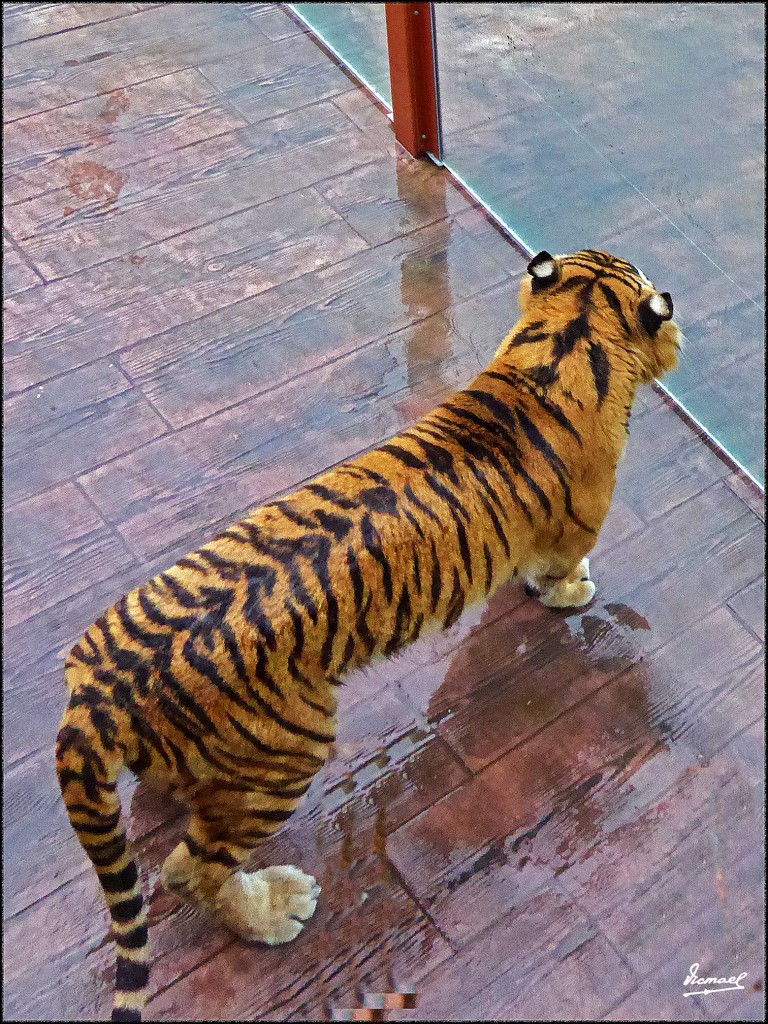 Foto: 160521-221 CABARCENO - Cabarceno (Cantabria), España