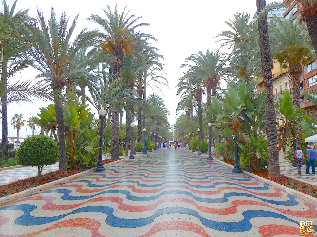 Foto: Paseo de Esplanada de España - Alicante (Comunidad Valenciana), España