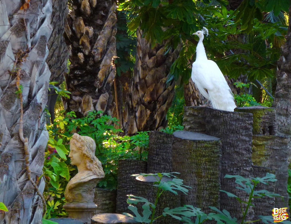 Foto: El Palmeral. Huerto del Cura - Elche (Alicante), España