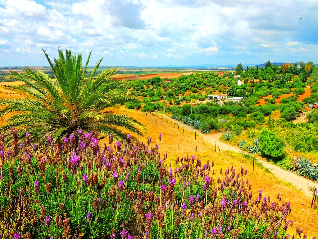 Foto de Almodóvar del Río (Córdoba), España