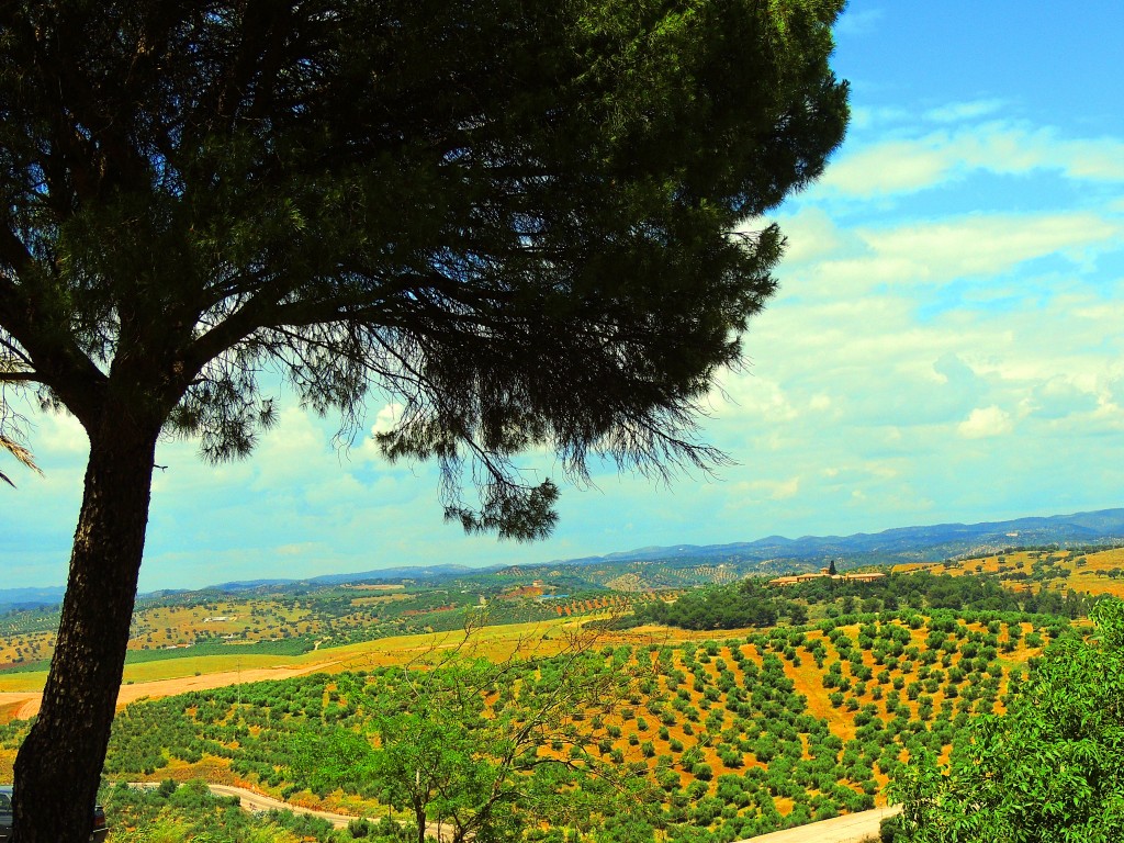 Foto de Almodóvar del Río (Córdoba), España