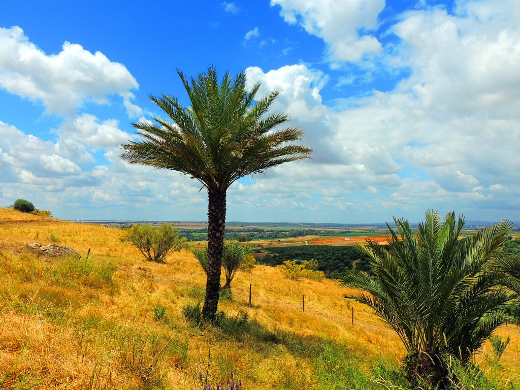 Foto de Almodóvar del Río (Córdoba), España