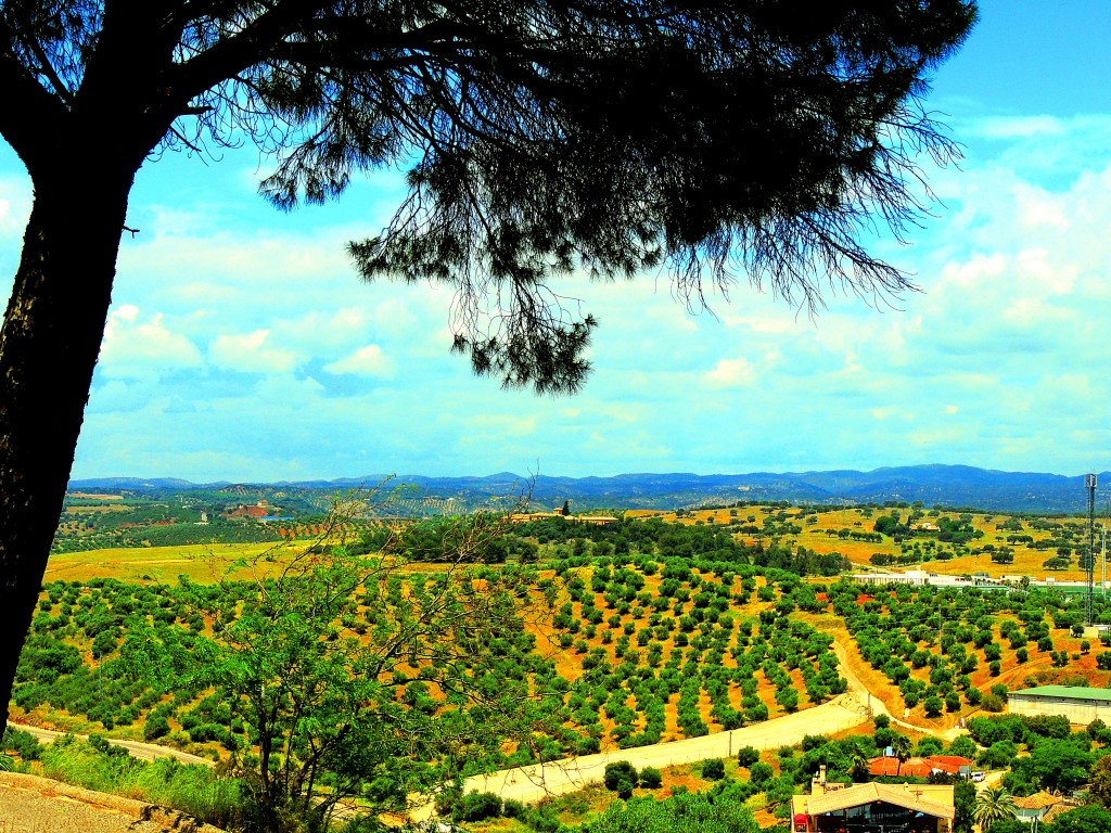 Foto de Almodóvar del Río (Córdoba), España