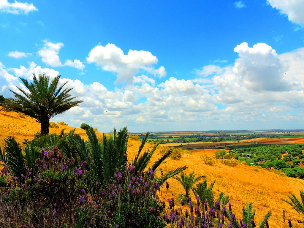 Foto de Almodóvar del Río (Córdoba), España